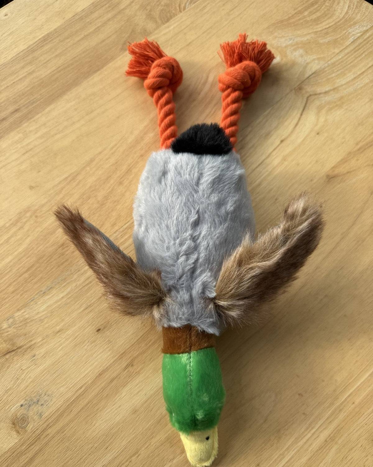 Snooflee Quacker van bovenaf met gespreide vleugels en zwarte kruin