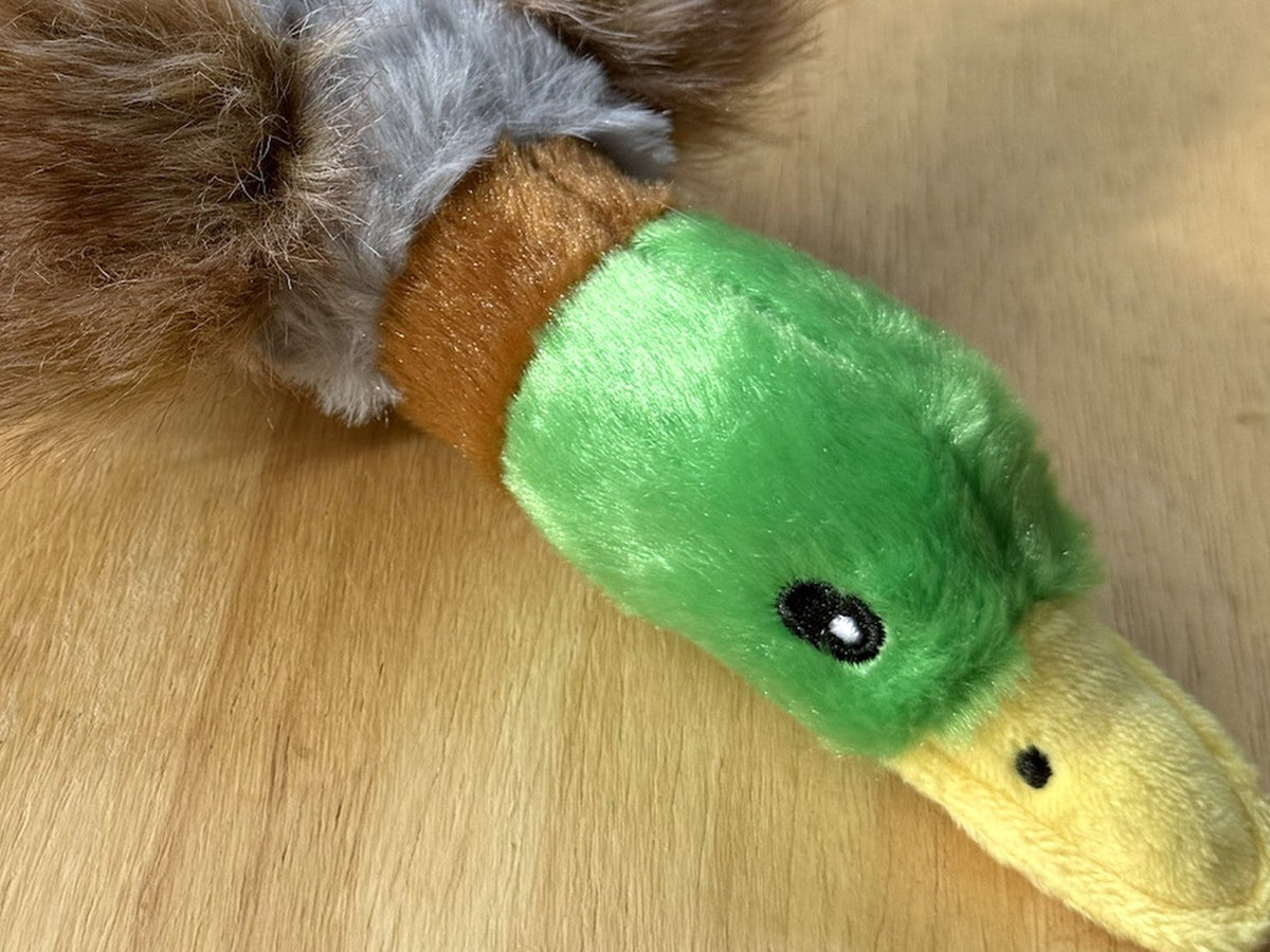 Close-up van de groene kop, het oog en de zachte gele snavel